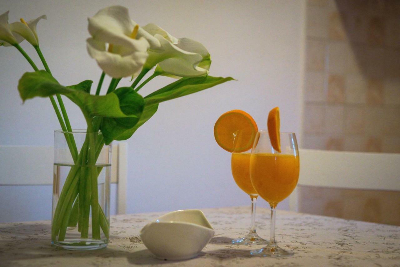 Korallion Apartment Szybenik Zewnętrze zdjęcie